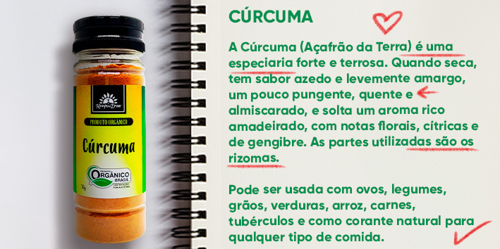 Sabores e saberes - Curcuma 2